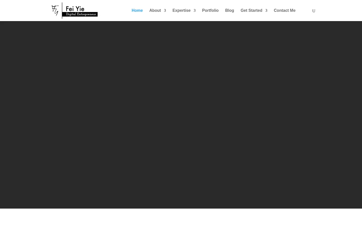 Captured homepage of feiyie.com in the current scan