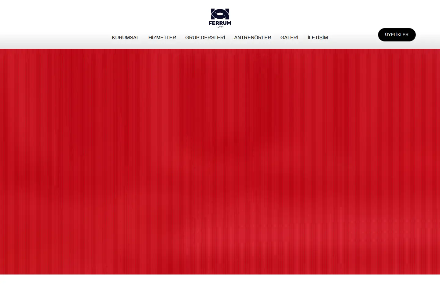 Captured homepage of ferrumgym.com in the current scan