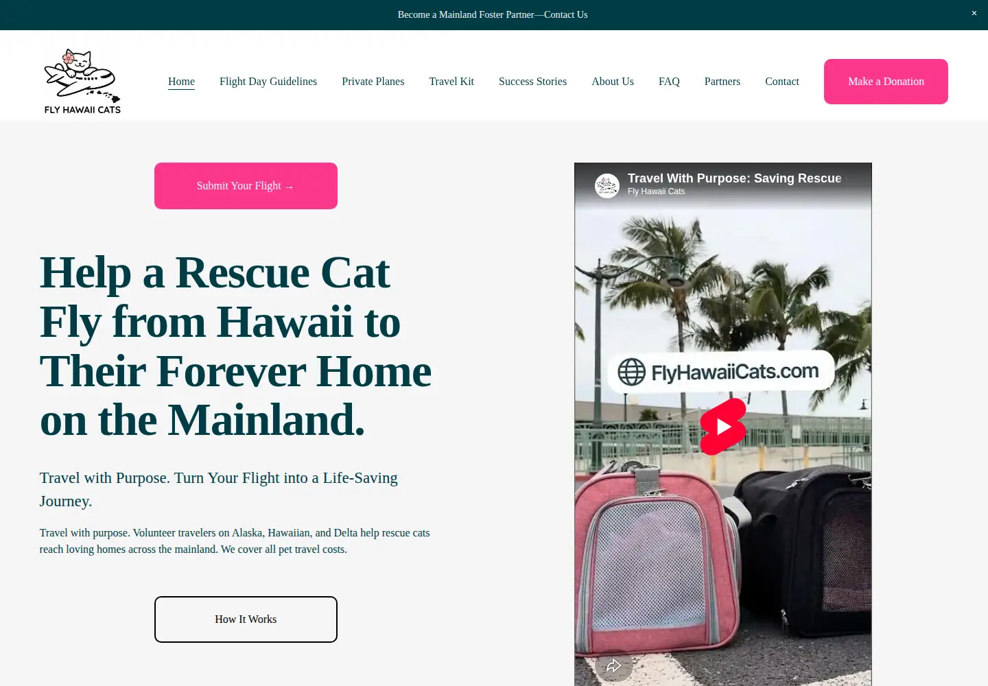 Captured homepage of flyhawaiicats.com in the current scan