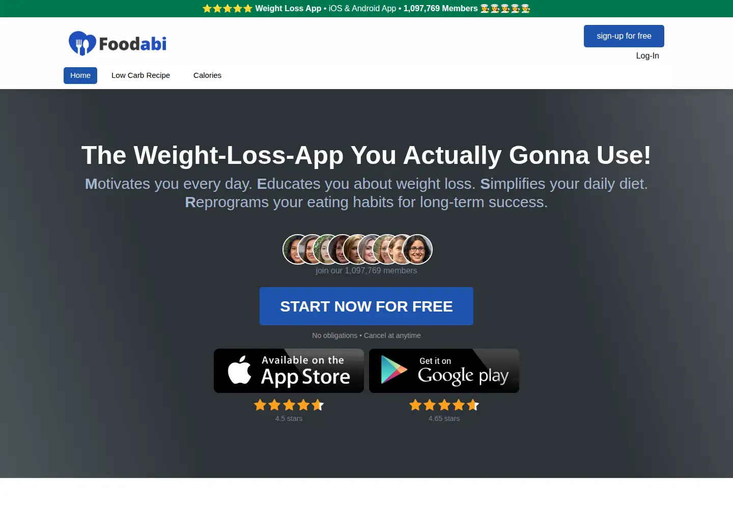 Captured homepage of foodabi.com in the current scan
