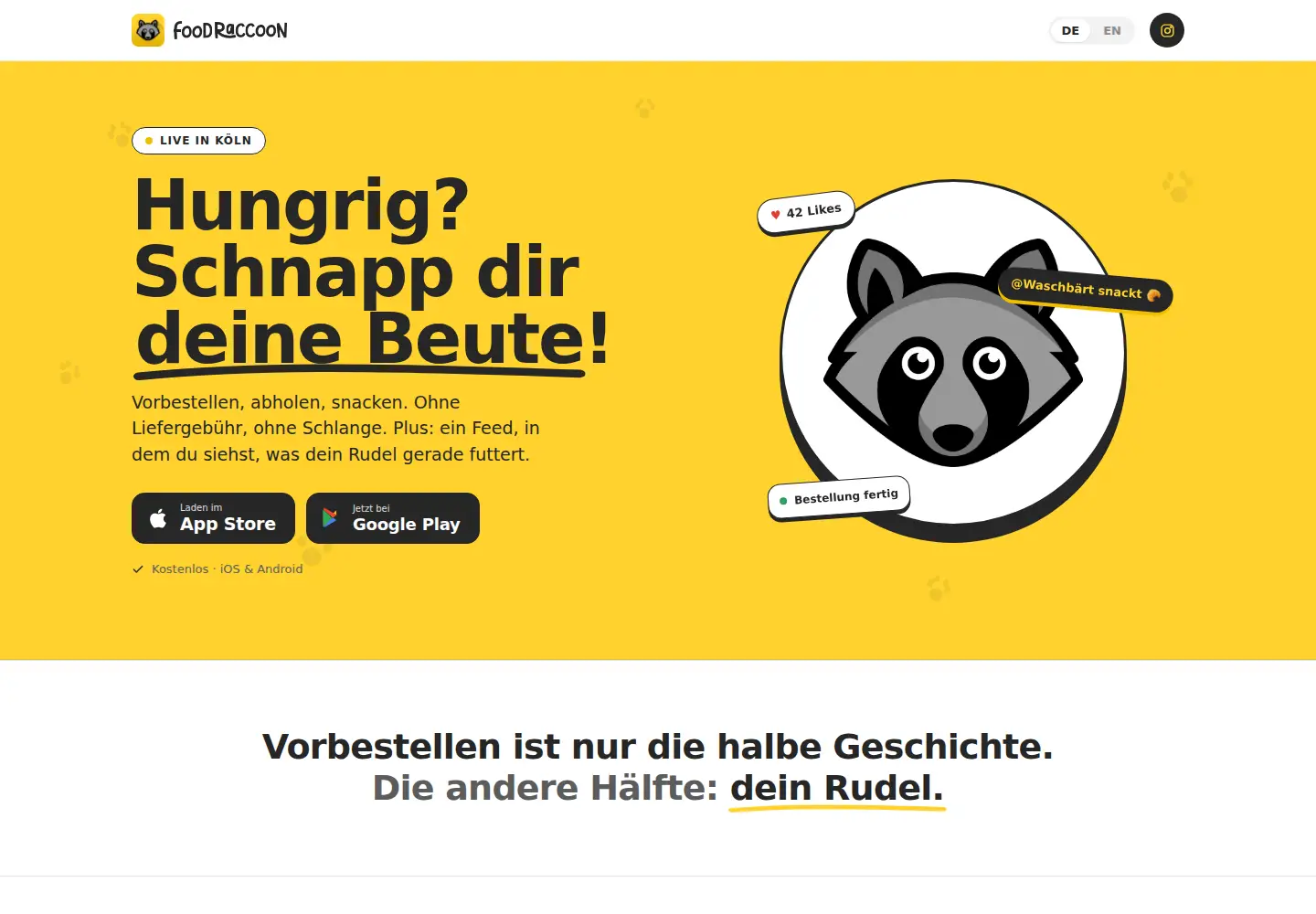 Screenshot of foodraccoon.com