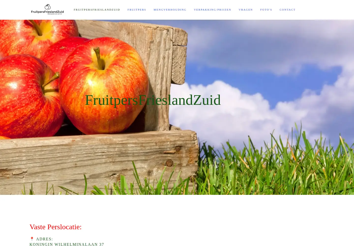 Screenshot of fruitpersfrieslandzuid.com
