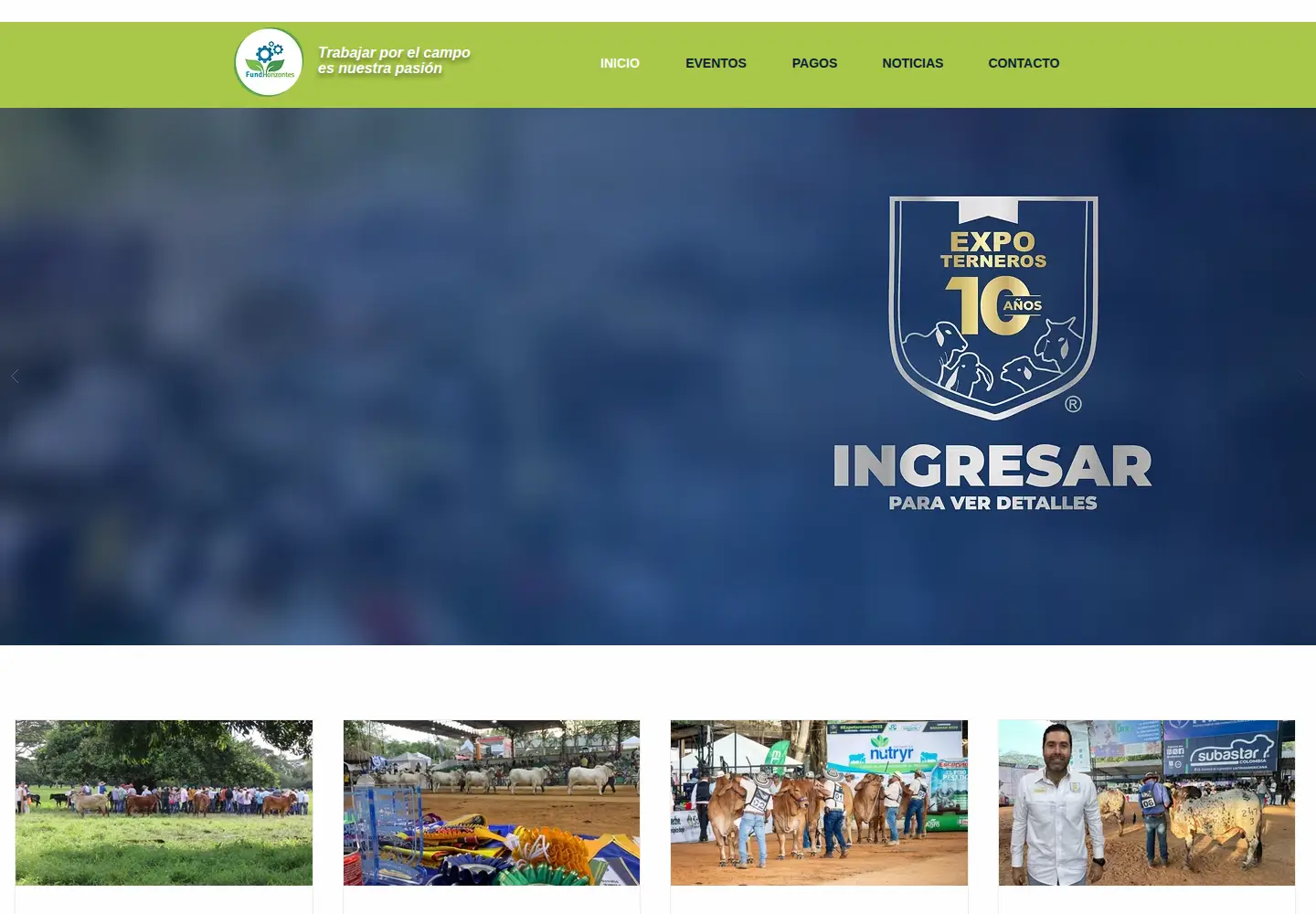 Captured homepage of fundhorizontes.com in the current scan