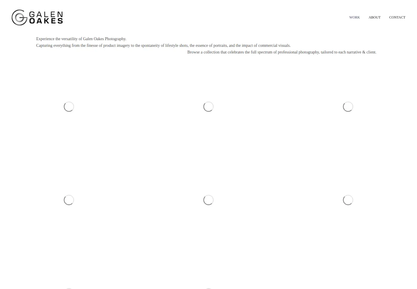 Screenshot of galenoakes.com