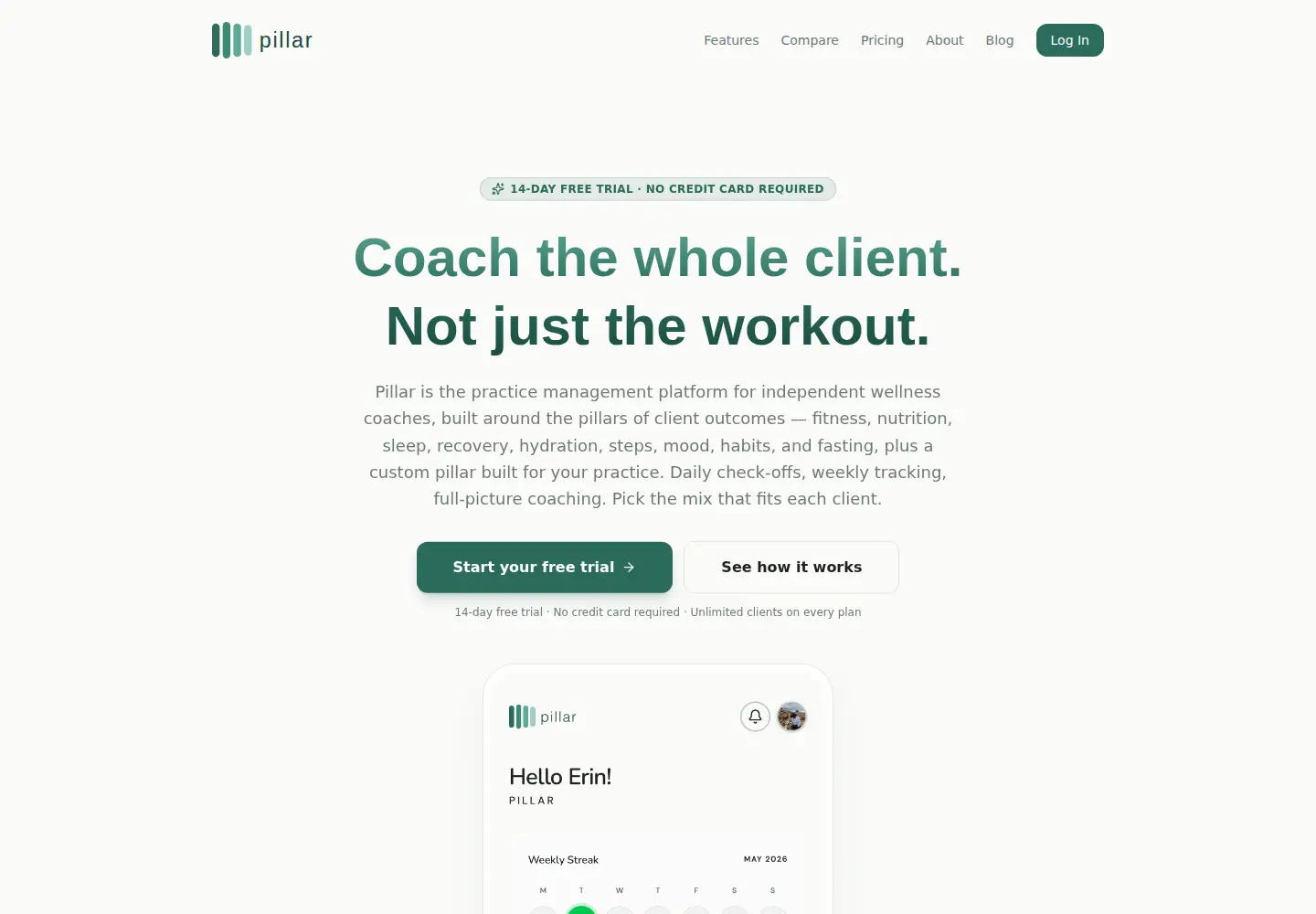 Captured homepage of getpillarcoach.com in the current scan