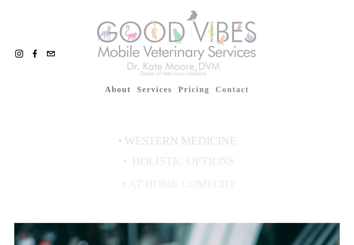Captured homepage of goodvibesvet.com in the current scan