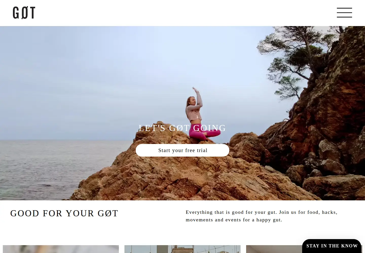 Captured homepage of gothealthylife.com in the current scan