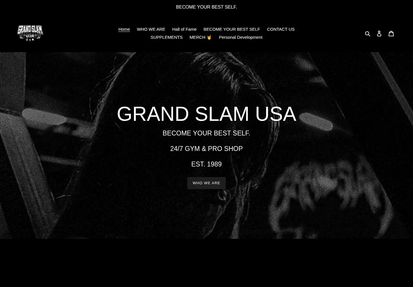 Captured homepage of grandslamusa.com in the current scan