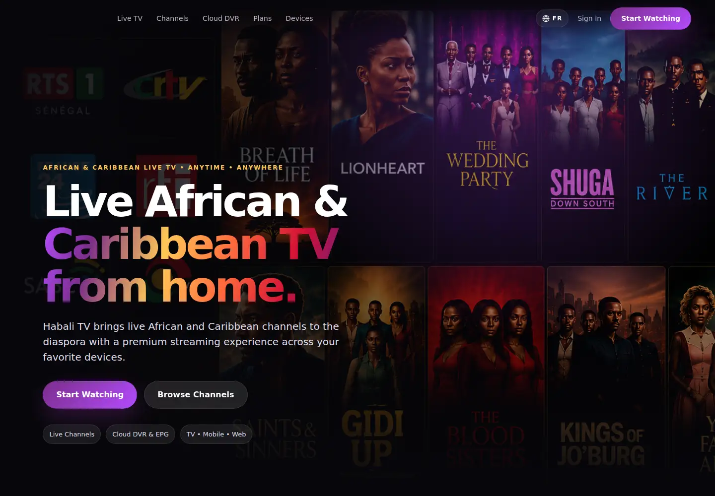 Captured homepage of habalitv.com in the current scan
