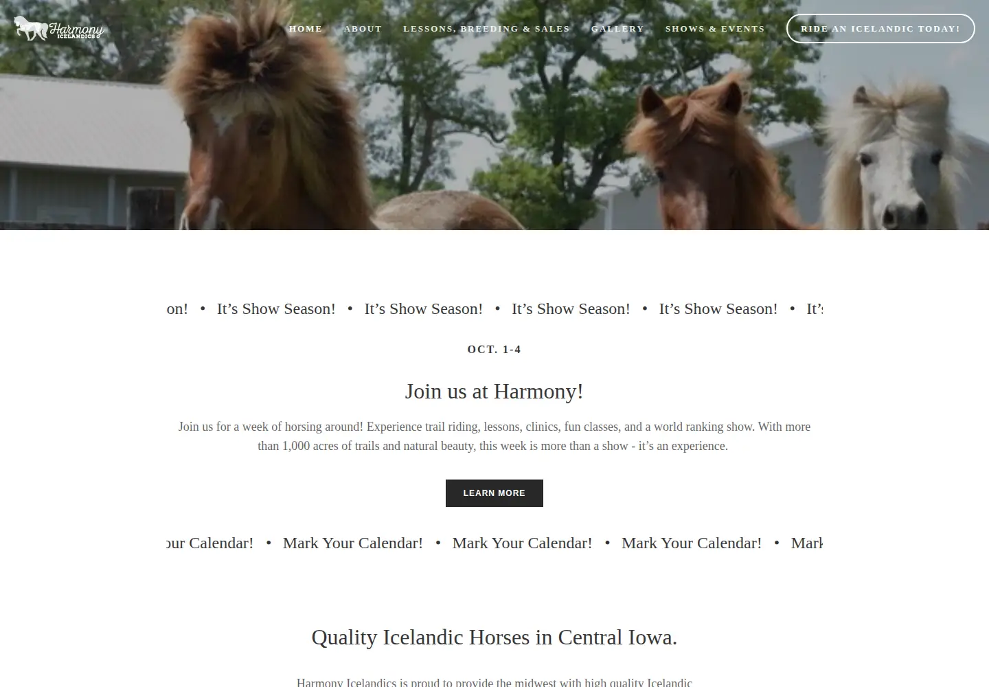 Screenshot of harmonyicelandics.com