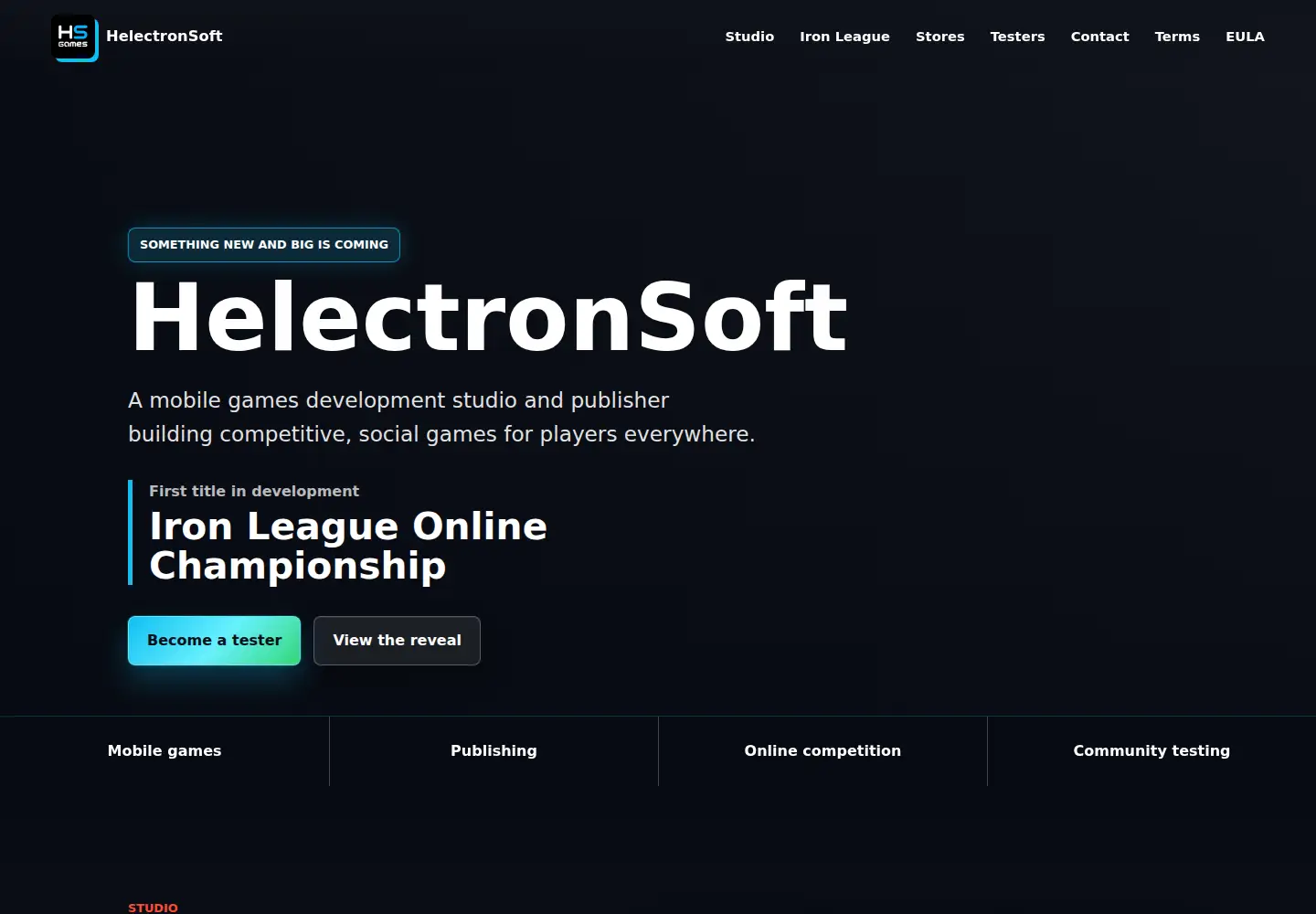 Captured homepage of helectronsoft.com in the current scan