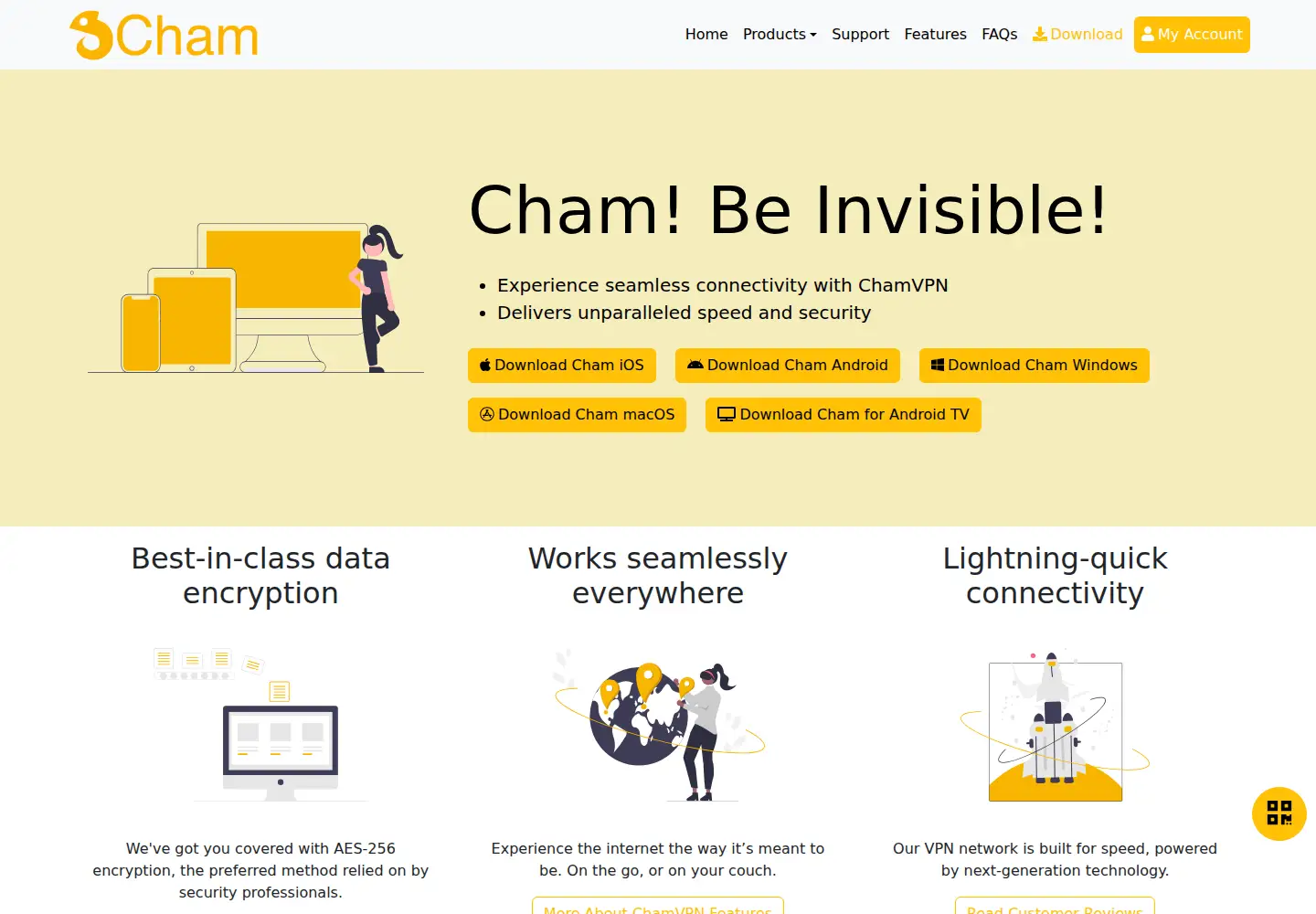 Captured homepage of hellocham.com in the current scan