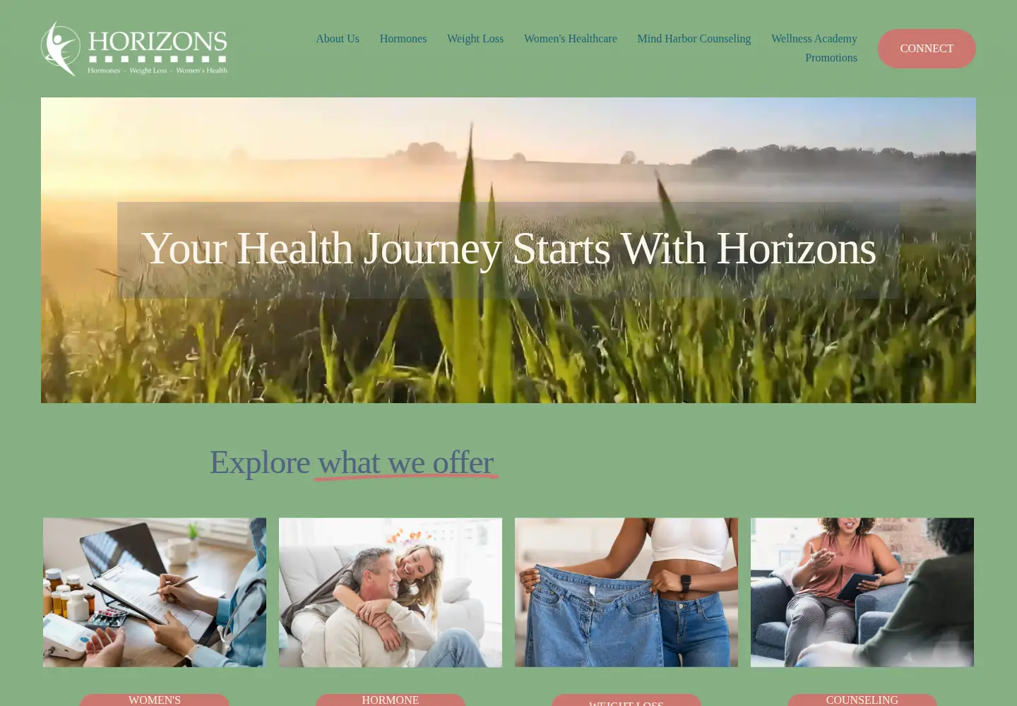 Captured homepage of horizonswellnessohio.com in the current scan