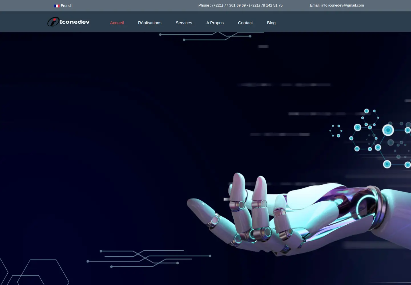 Screenshot of iconedev.com