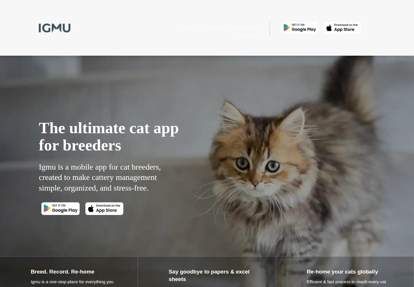 Captured homepage of igmuapp.com in the current scan