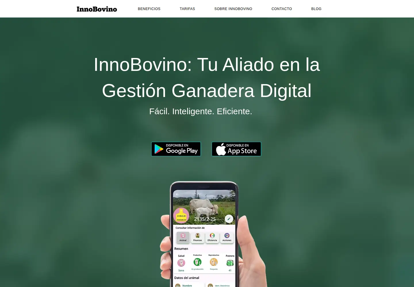 Screenshot of innobovino.com