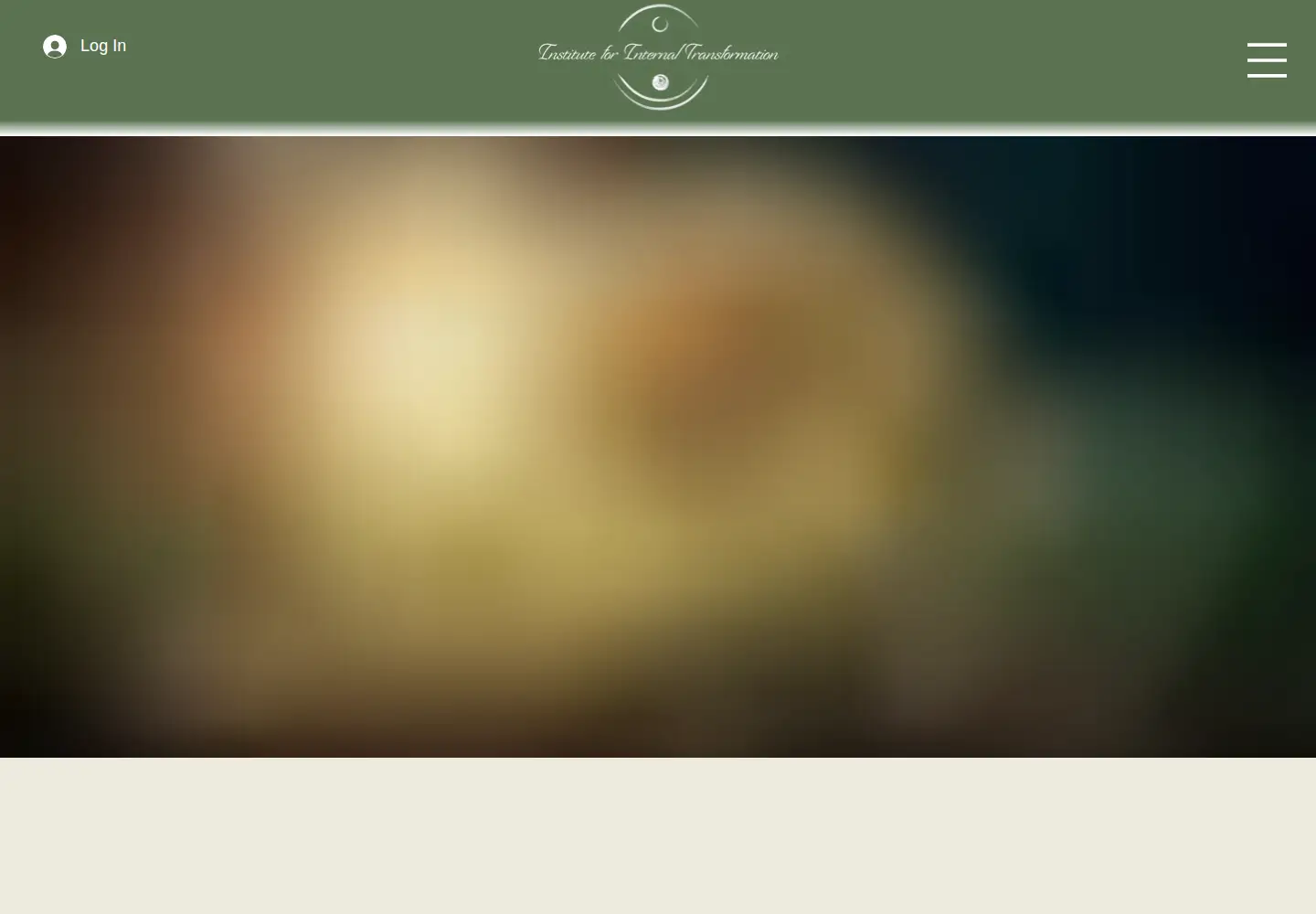 Captured homepage of internaltransformation.com in the current scan