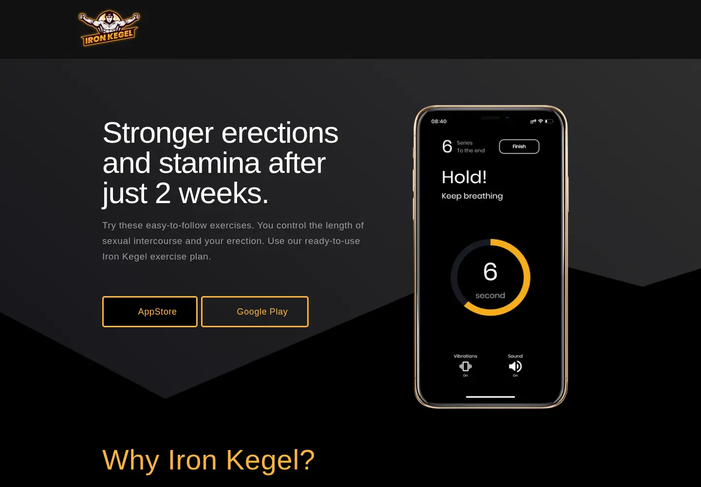 Captured homepage of ironkegel.com in the current scan