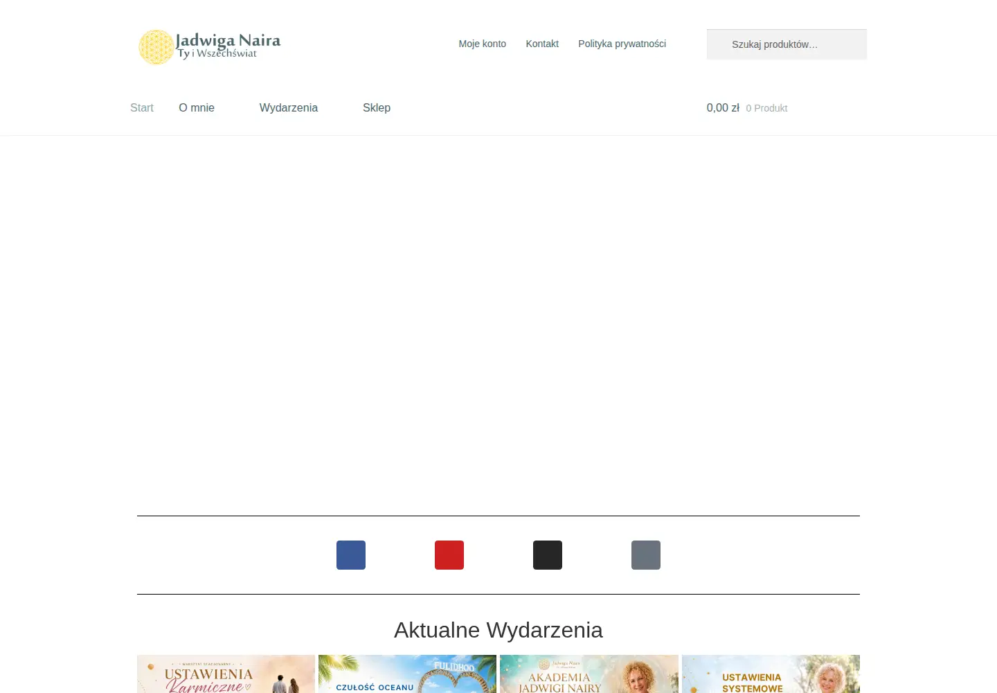 Captured homepage of jadwiganaira.com in the current scan