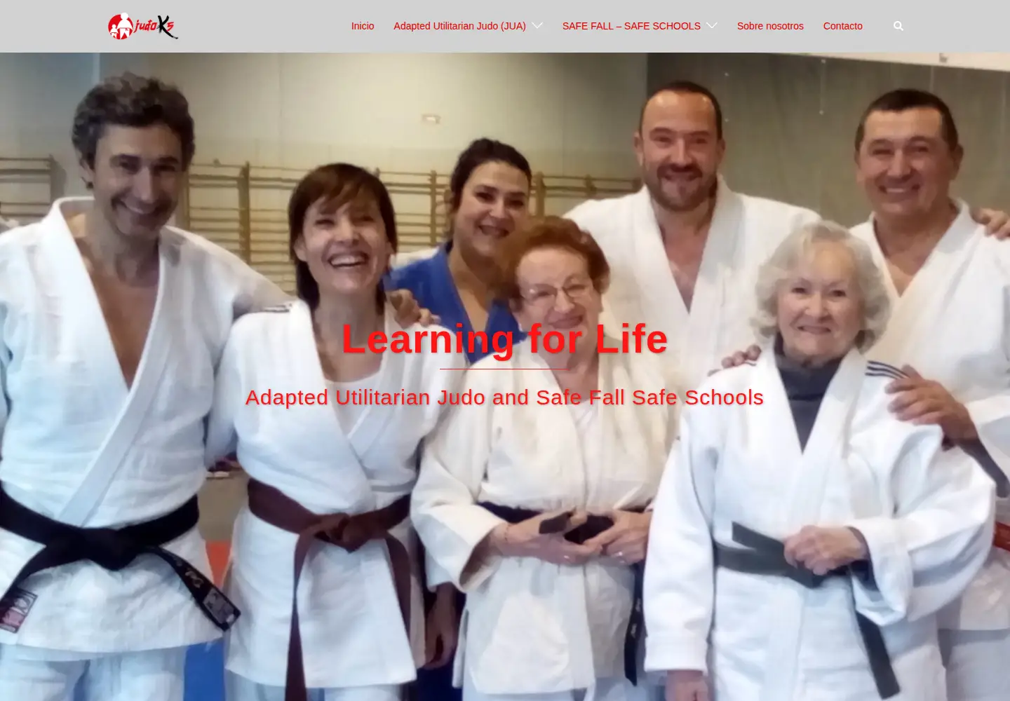 Screenshot of judoks.com