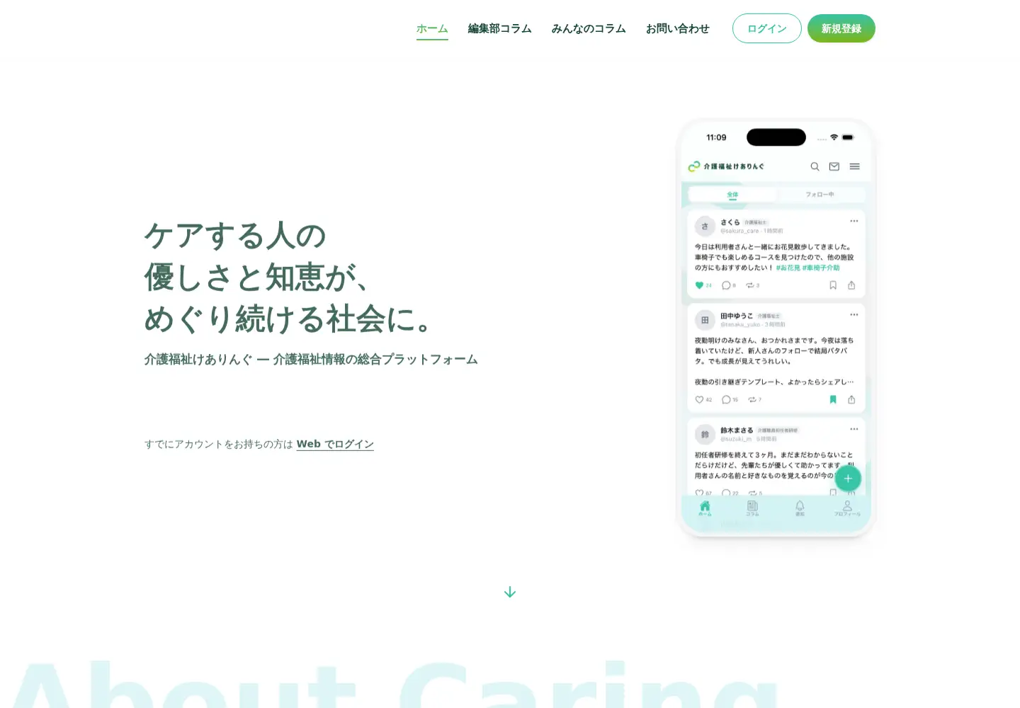 Screenshot of kaigofukushi-carering.com