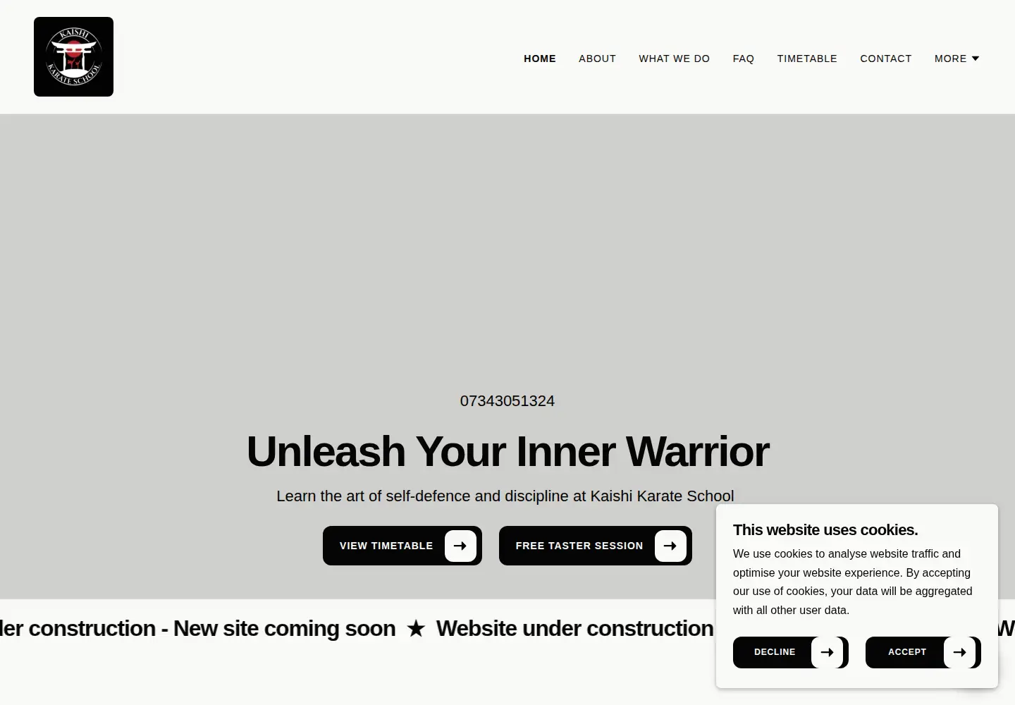 Screenshot of kaishikarateschool.com