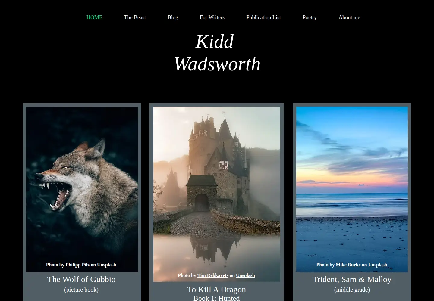 Screenshot of kiddwadsworth.com