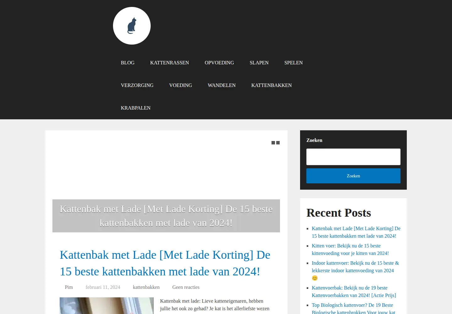 Captured homepage of kingofivar.com in the current scan