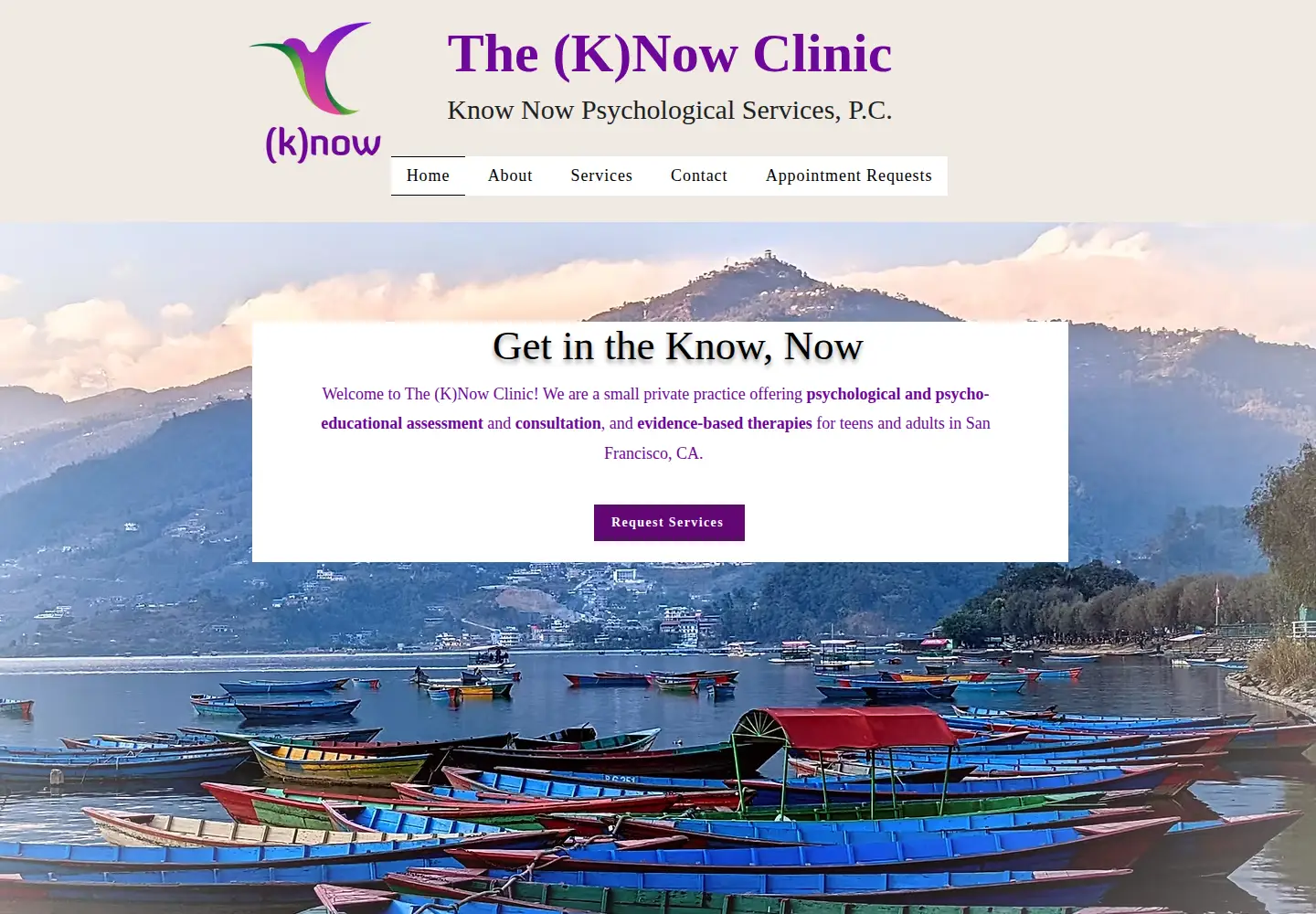 Screenshot of knownowpc.com