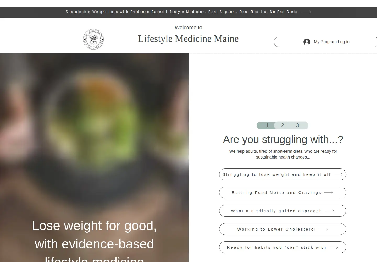 Screenshot of lifestylemedicinemaine.com
