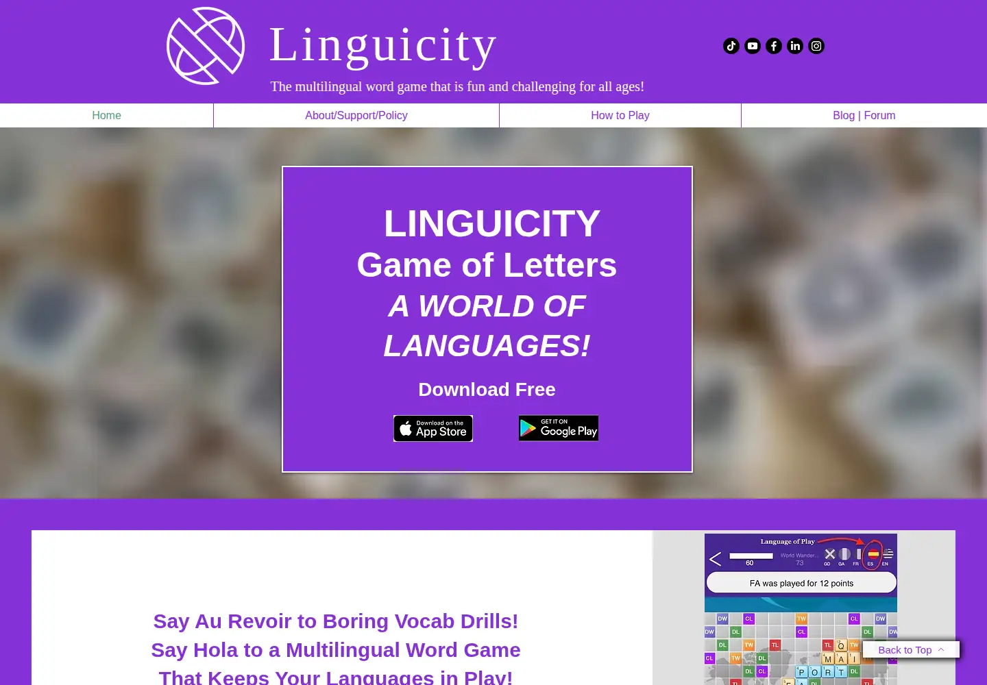 Captured homepage of linguicitygame.com in the current scan