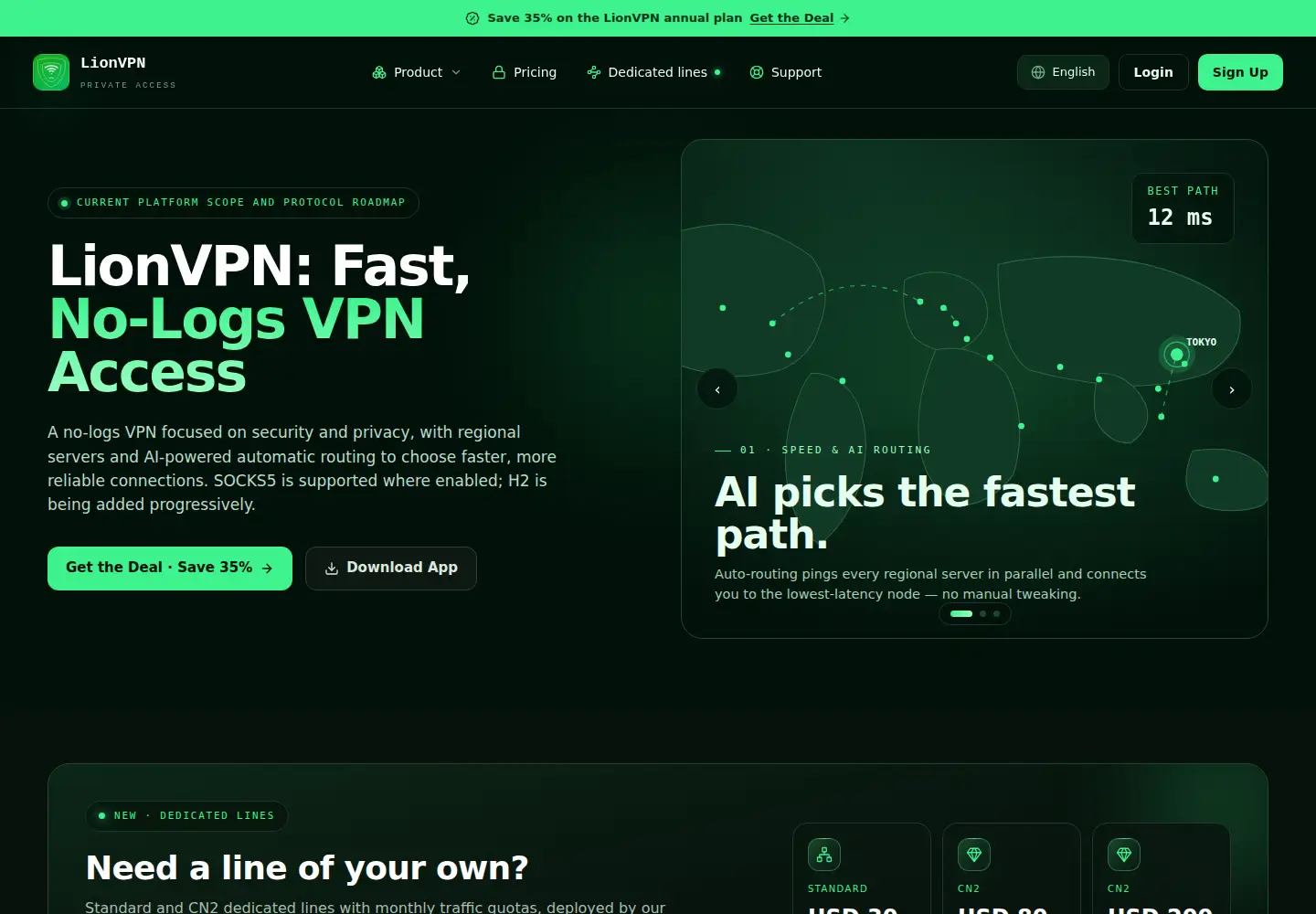Captured homepage of lionvpn.com in the current scan