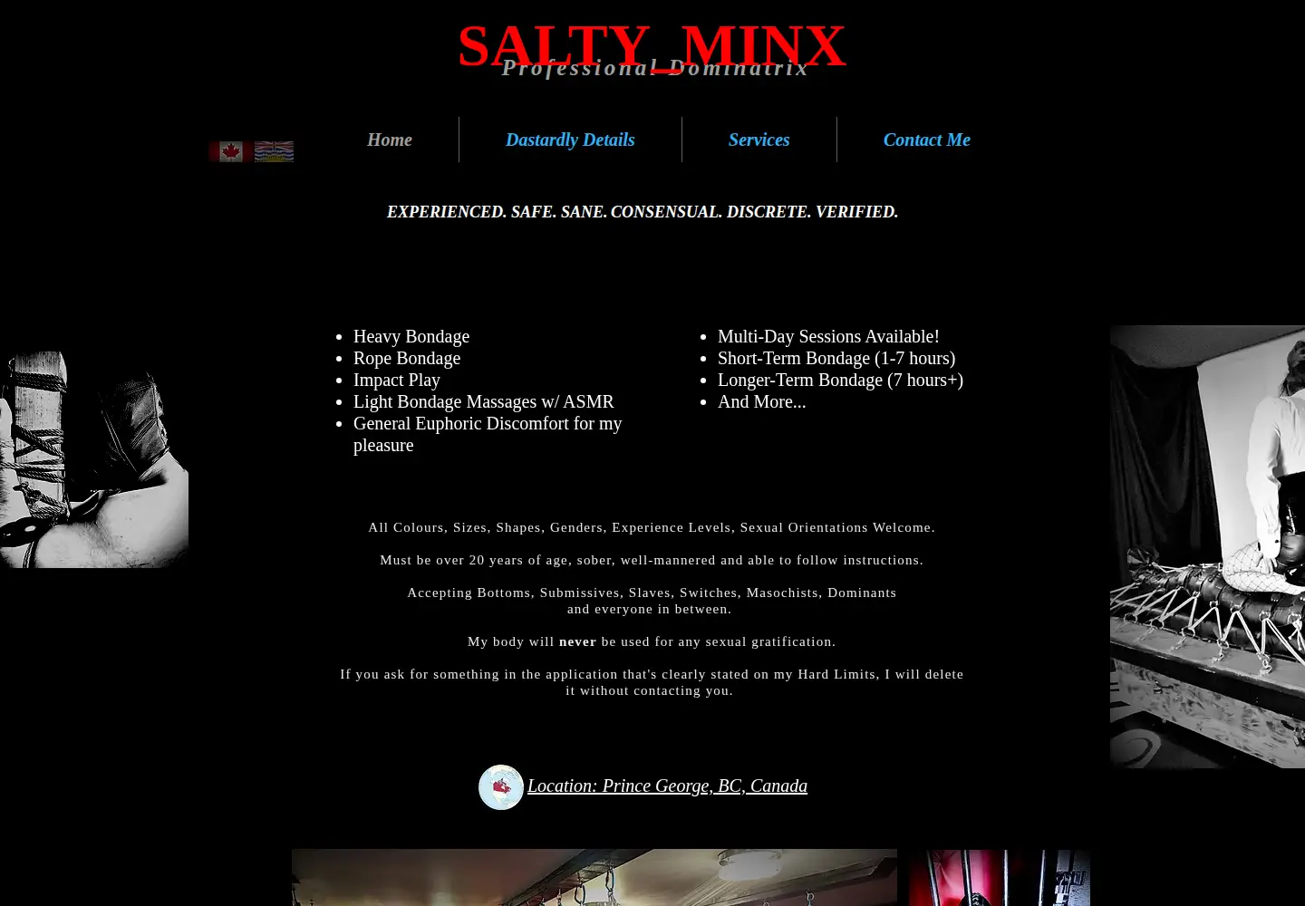 Captured homepage of madamsaltyminx.com in the current scan