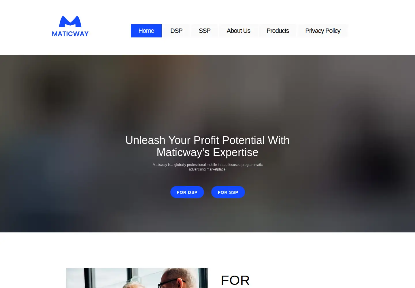 Captured homepage of maticway.com in the current scan