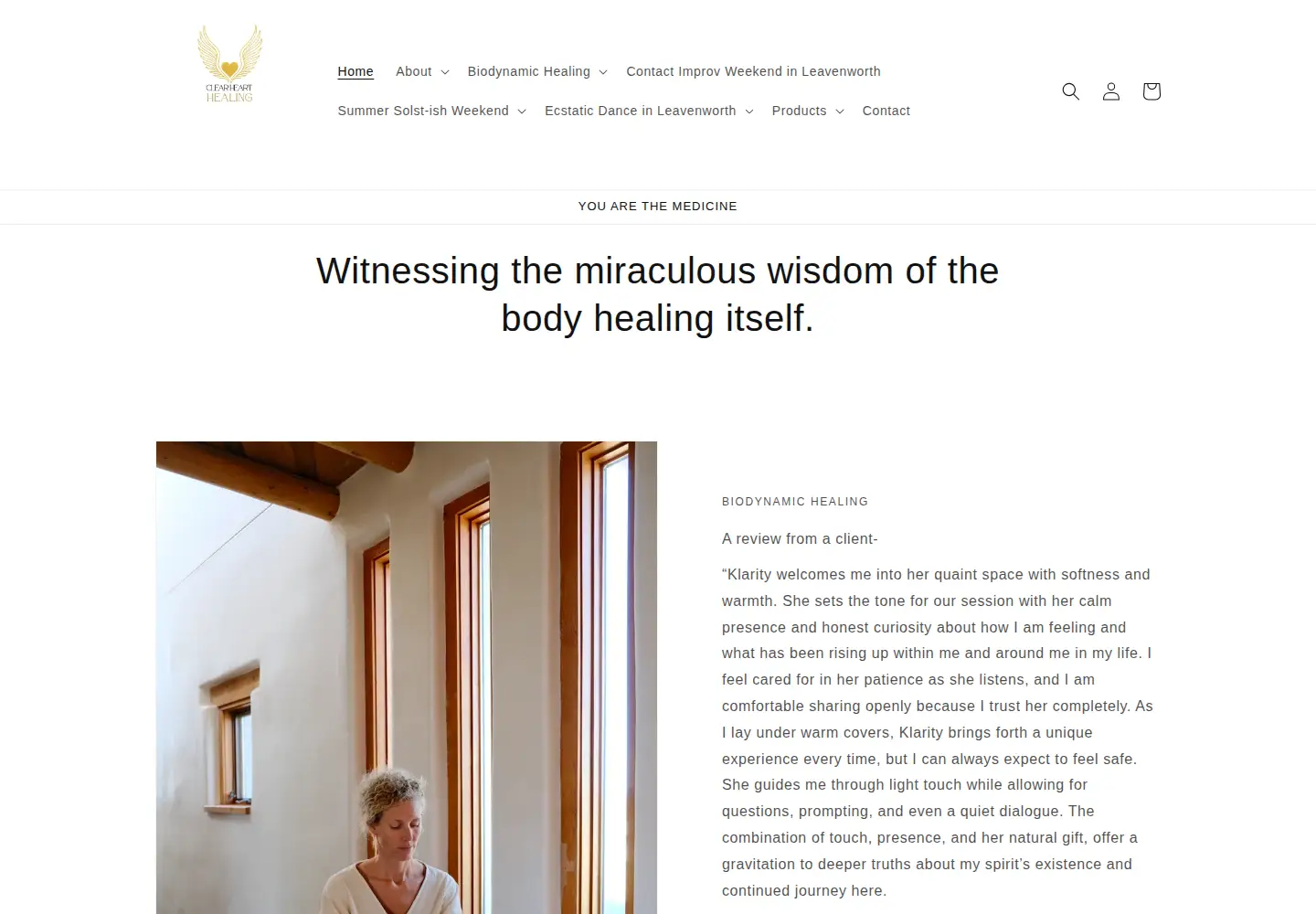 Captured homepage of medicinenmotion.com in the current scan