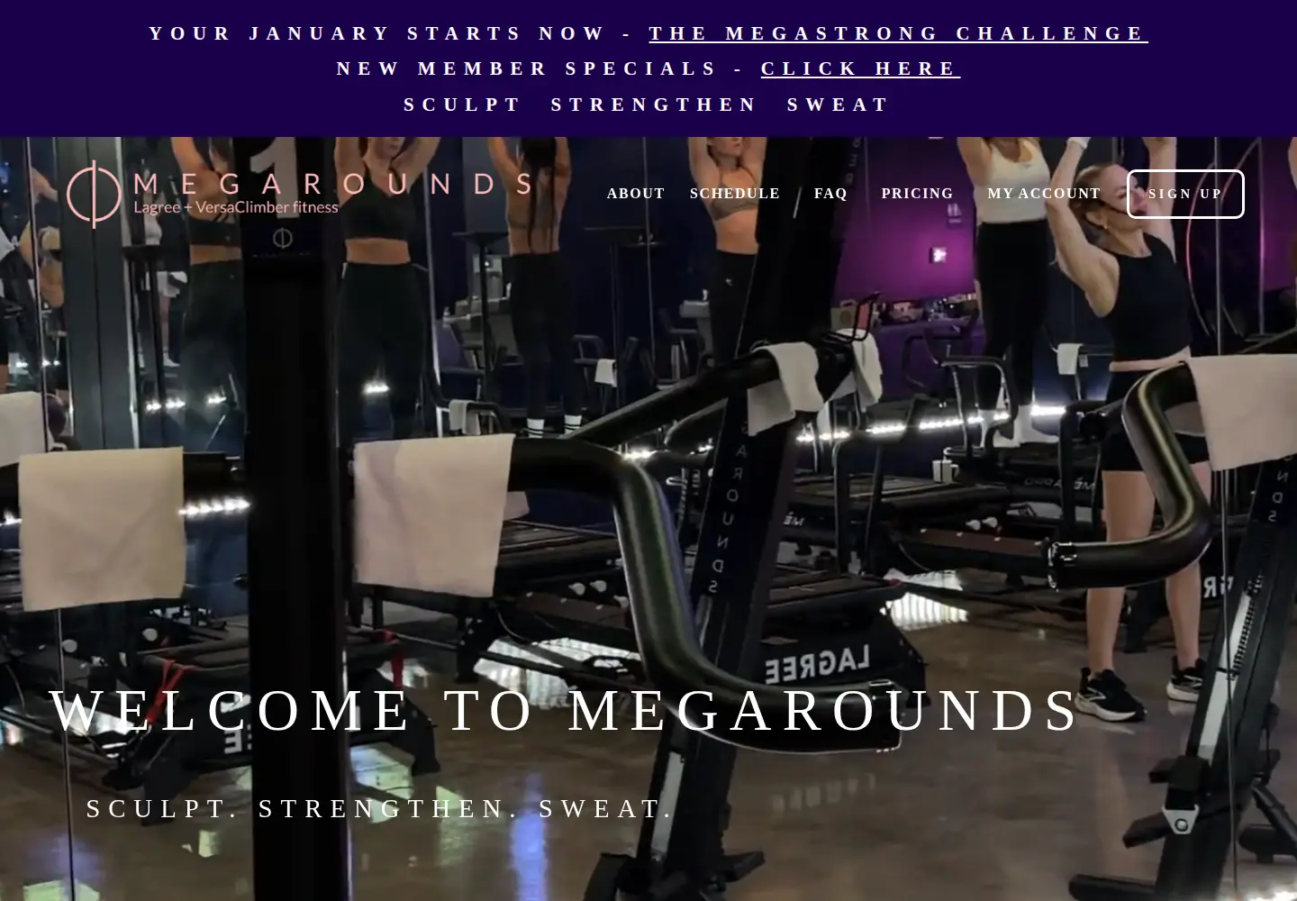 Screenshot of megarounds.com