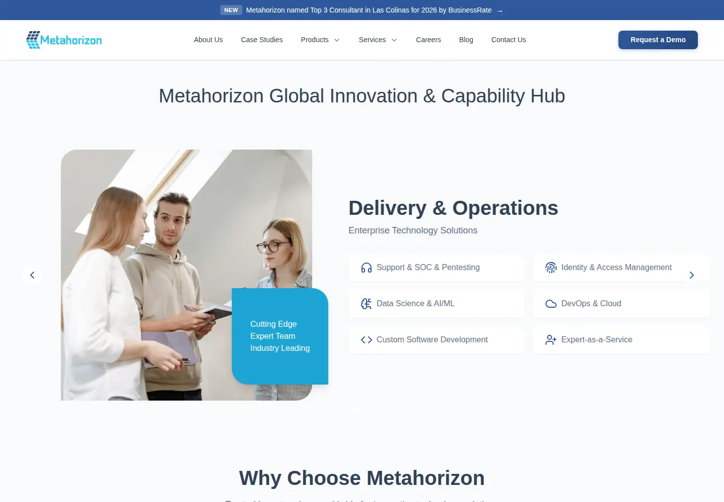 Captured homepage of metahorizon.com in the current scan