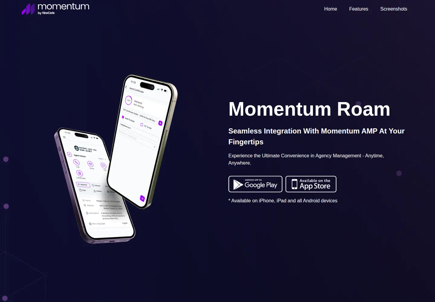 Captured homepage of momentumroam.com in the current scan