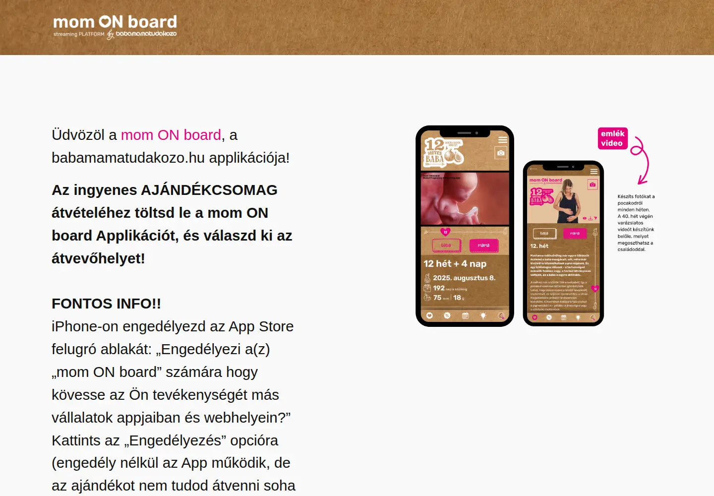 Screenshot of momonboard.com
