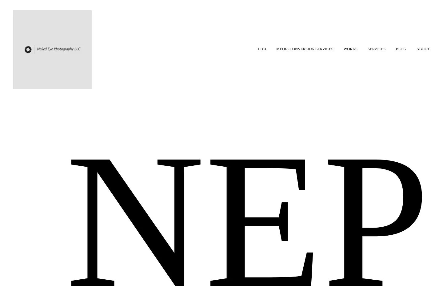 Captured homepage of nakedeyephotography.com in the current scan