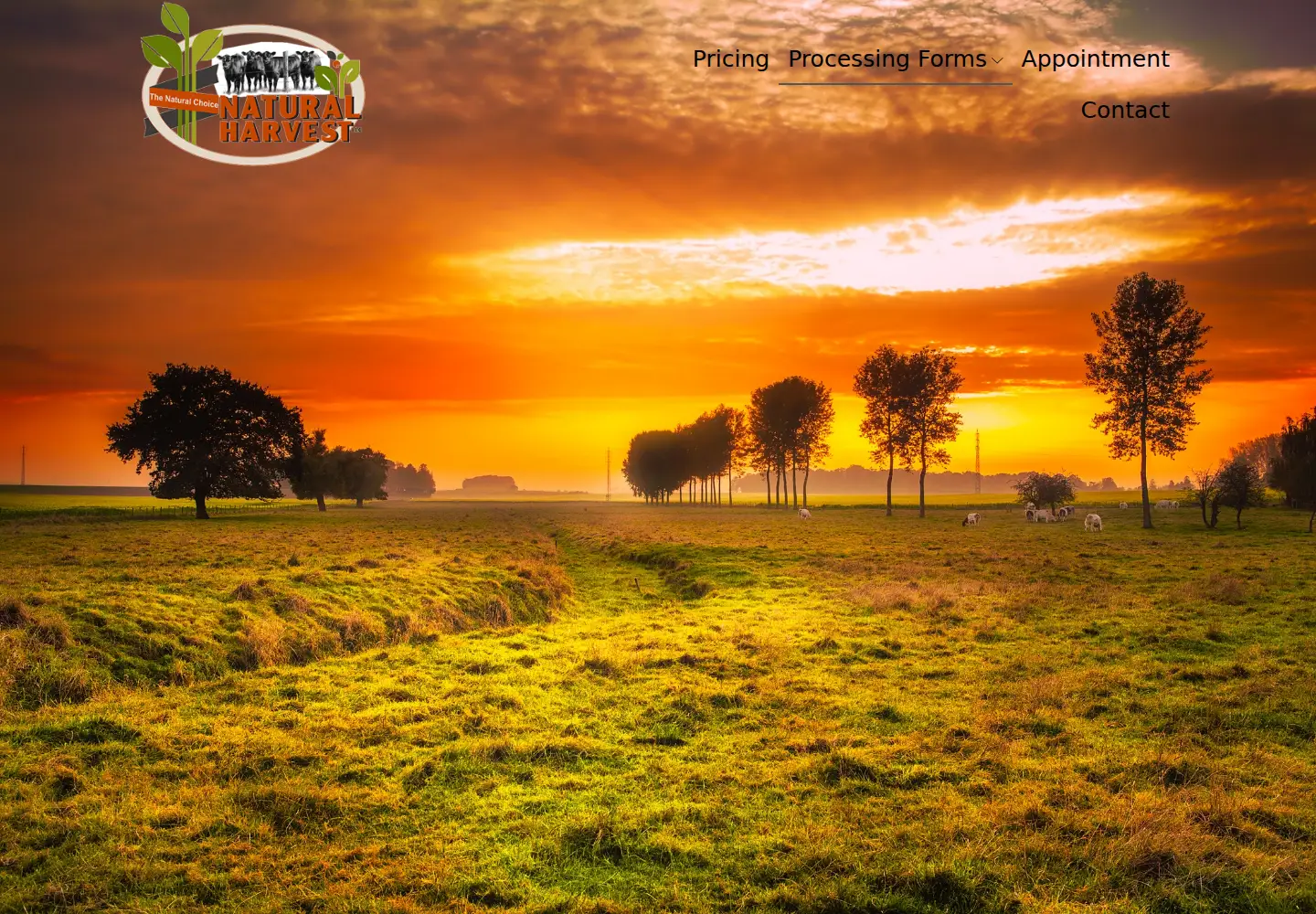 Screenshot of naturalharvestllc.com