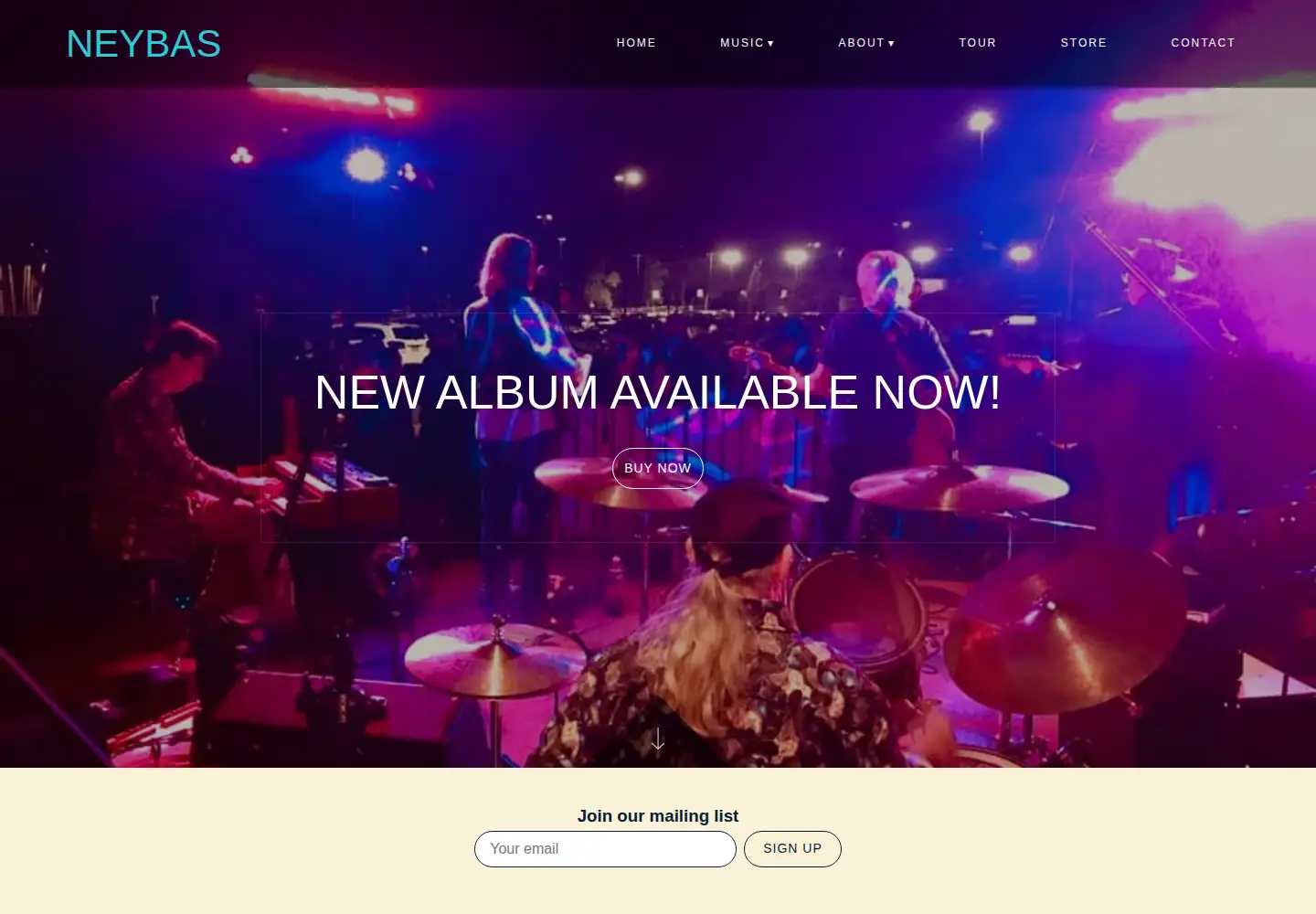 Captured homepage of neybas.com in the current scan