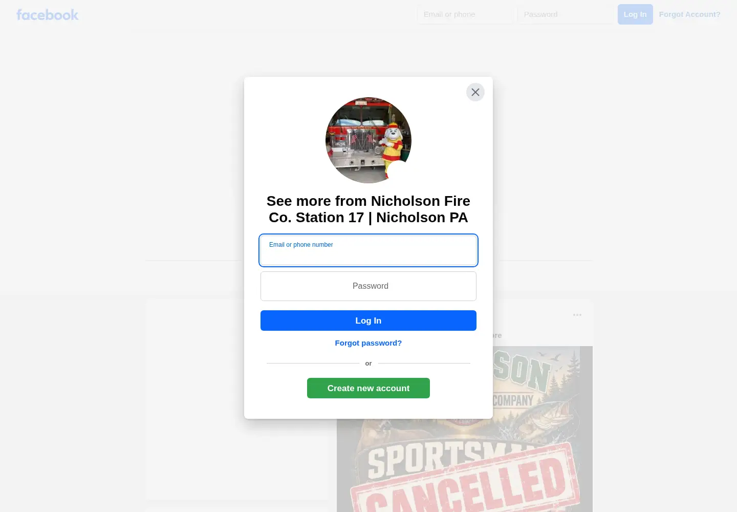 Captured homepage of nicholsonfireco.com in the current scan