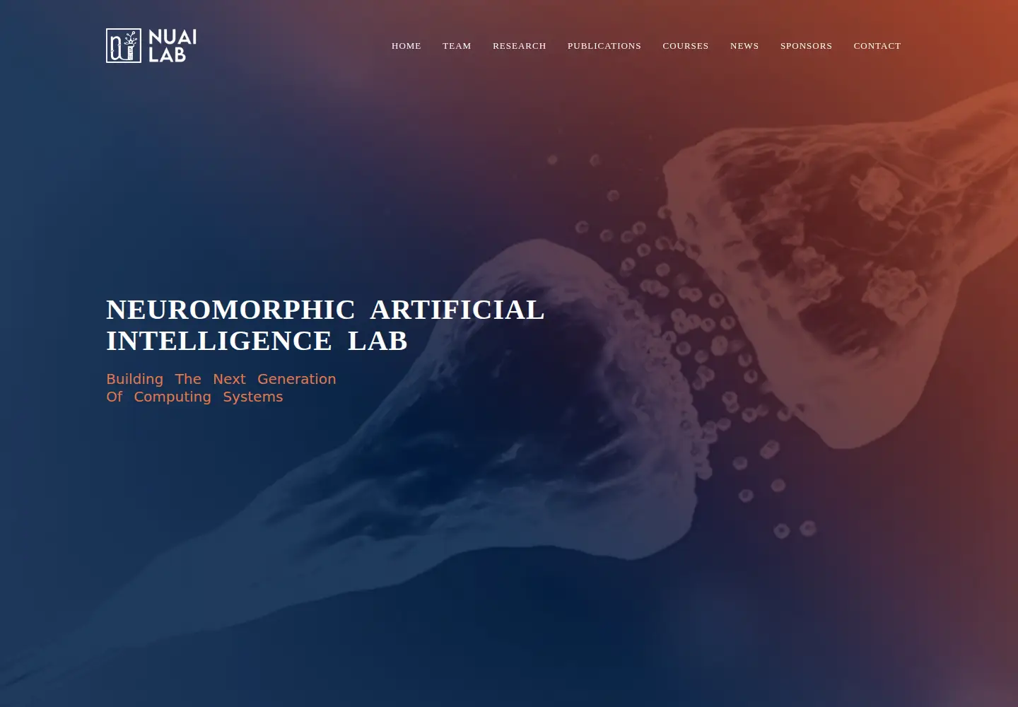 Captured homepage of nuailab.com in the current scan
