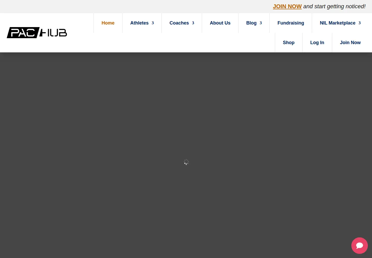 Captured homepage of pac-hub.com in the current scan