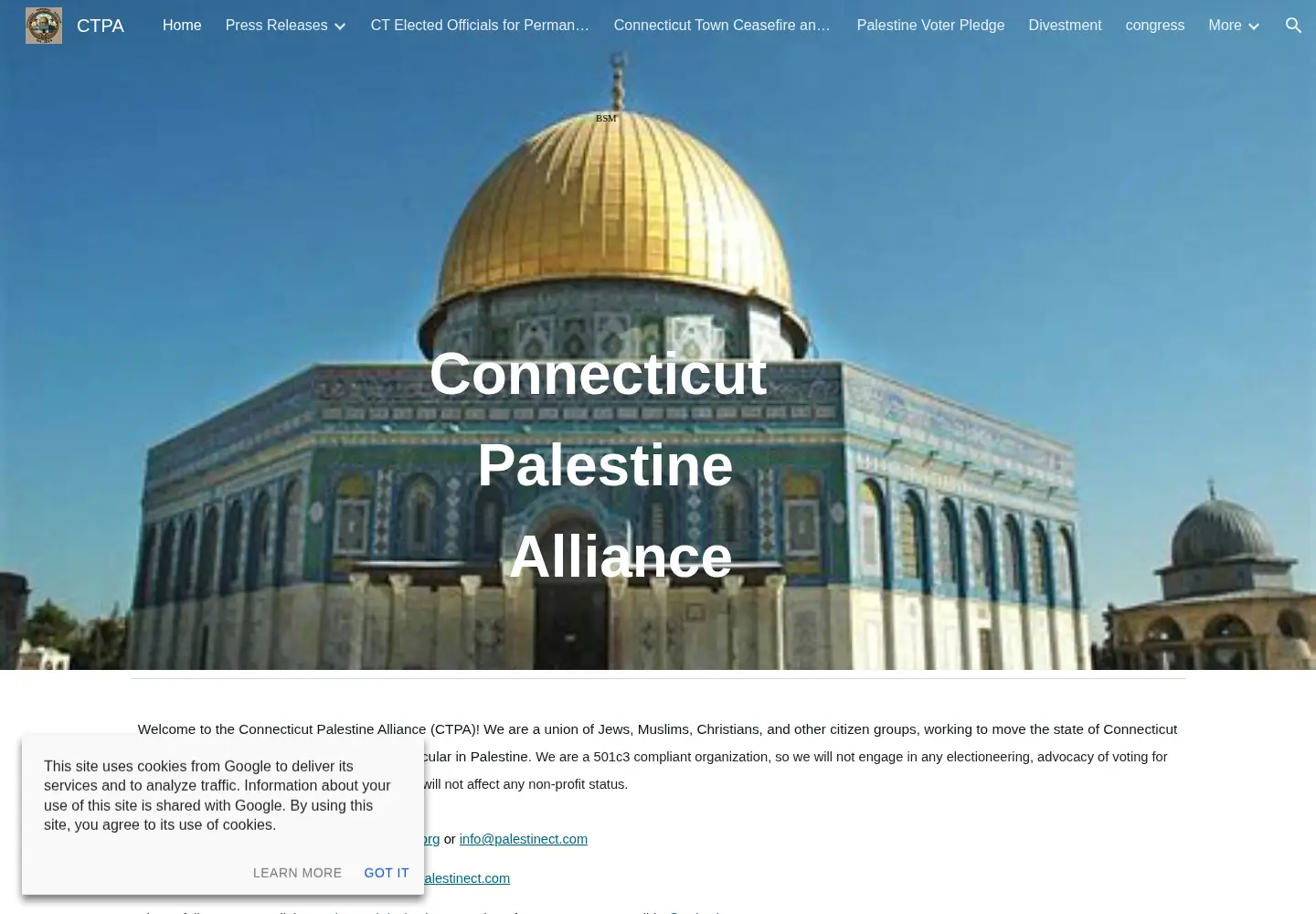 Screenshot of palestinect.com