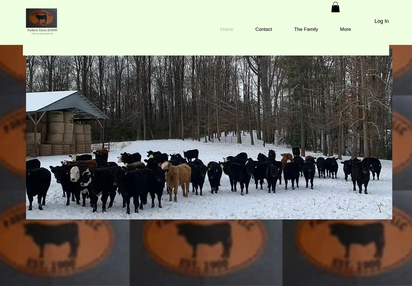 Captured homepage of parkerfarms1900.com in the current scan