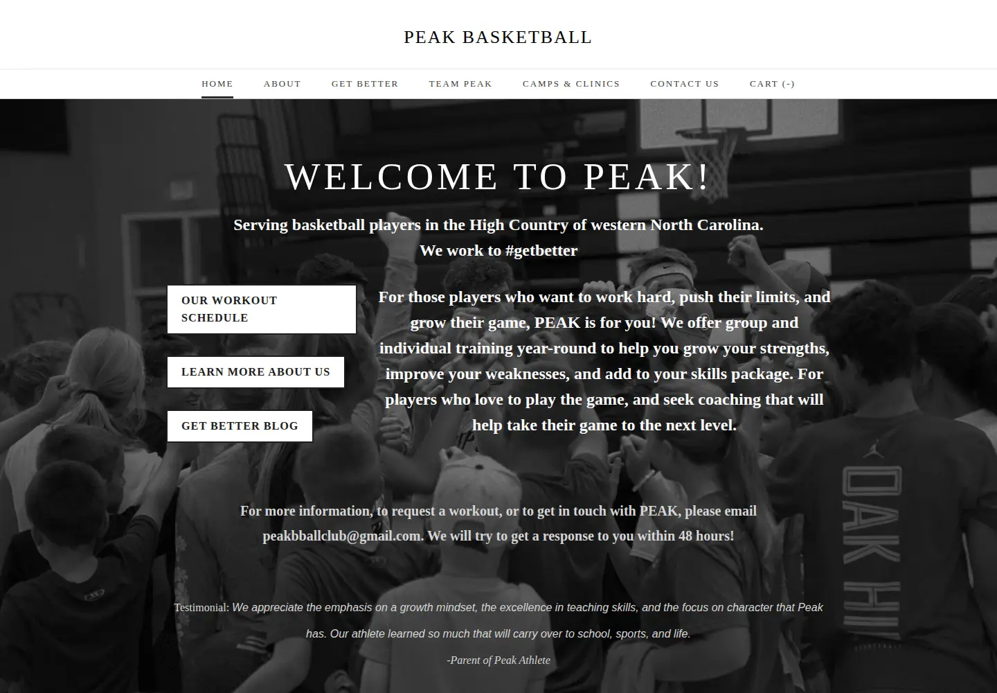Captured homepage of peakbball.com in the current scan