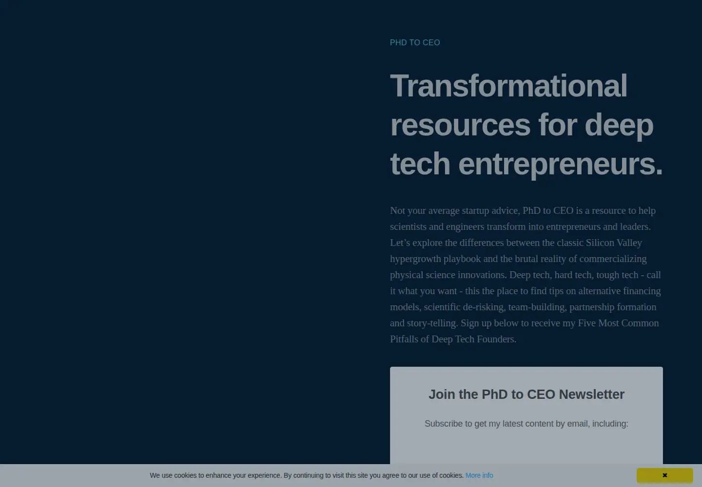 Captured homepage of phdtoceo.com in the current scan