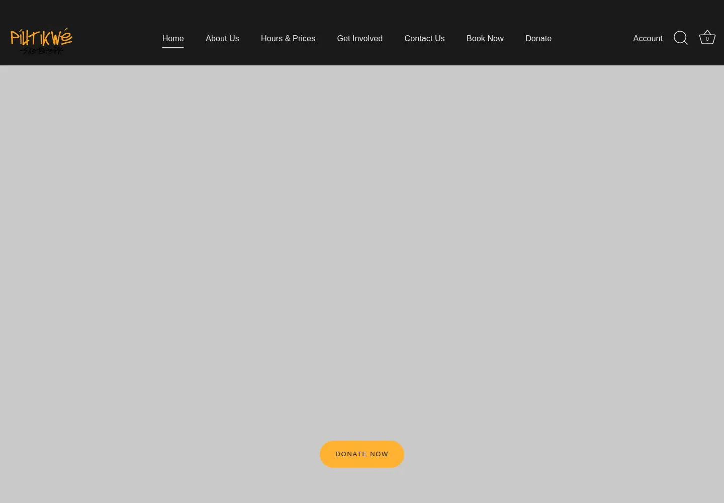 Screenshot of pitikweskatepark.com